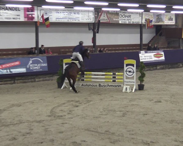 Reitturnier Vlotho-Exter 2025