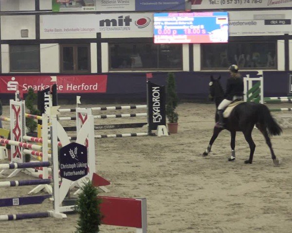 Reitturnier Vlotho-Exter 2025