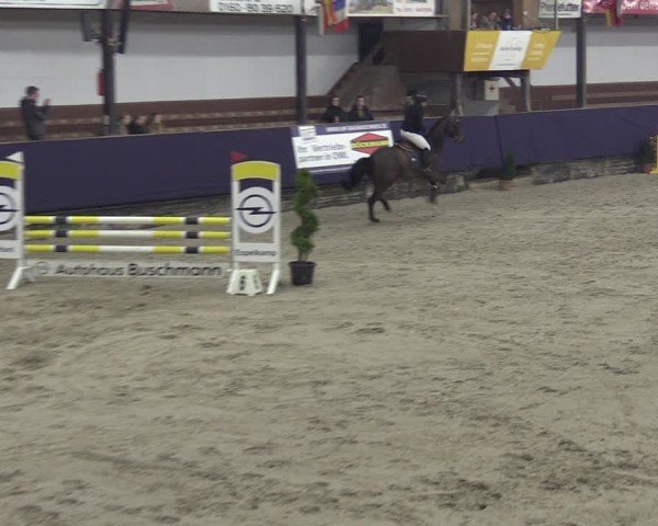 Reitturnier Vlotho-Exter 2025