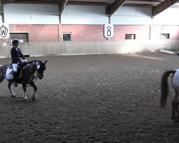 Reitturnier Lembeck 2025