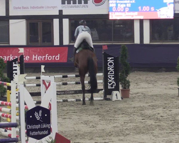 Reitturnier Vlotho-Exter 2025