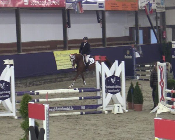 Reitturnier Vlotho-Exter 2025