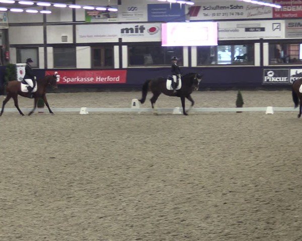 Reitturnier Vlotho-Exter 2025