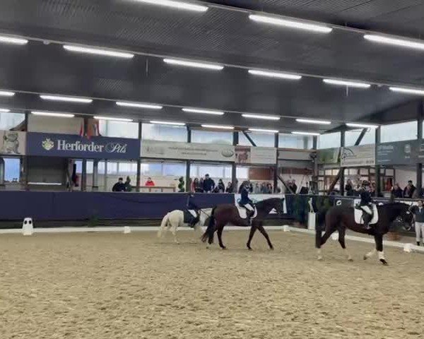 Video of La Péarl Püppi