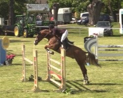 jumper Lotus 269 (Mecklenburg, 2016, from Last Man)