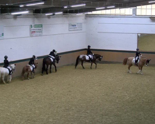 Reitturnier Laer 2025