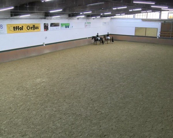 Reitturnier Laer 2025