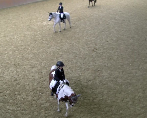 Reitturnier Laer 2025