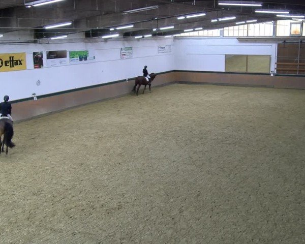 Reitturnier Laer 2025