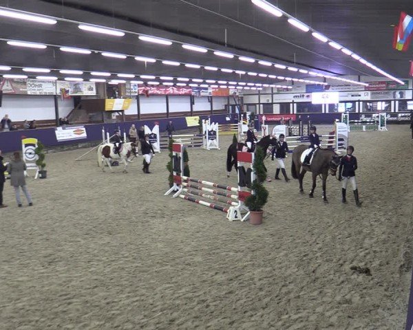 Reitturnier Vlotho-Exter 2025