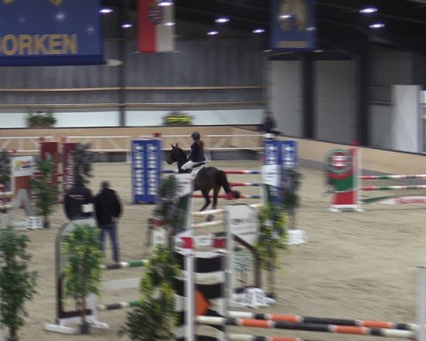 Reitturnier Borken (Hessen) 2025