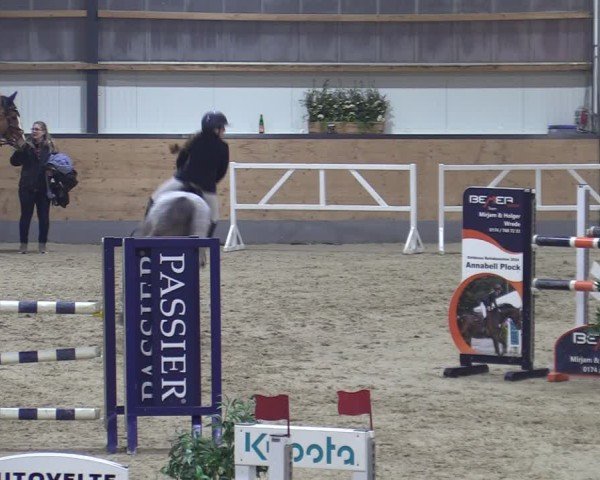 Reitturnier Borken (Hessen) 2025