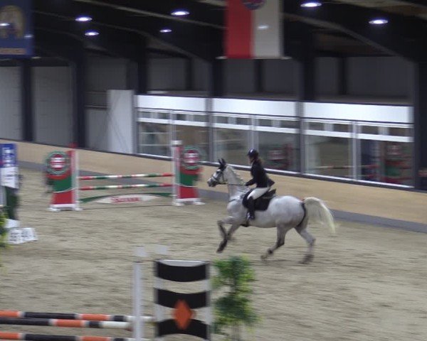 Reitturnier Borken (Hessen) 2025
