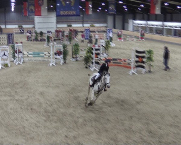 Reitturnier Borken (Hessen) 2025