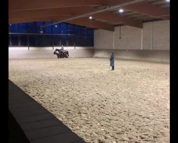 Video of Chubine