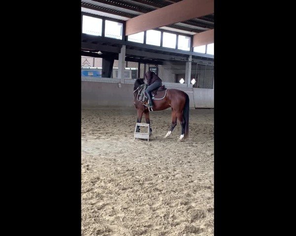 Video of Chubine