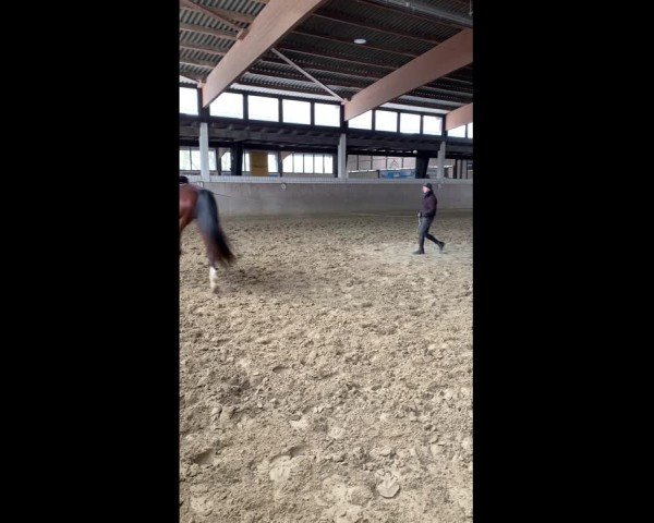 Video of Chubine