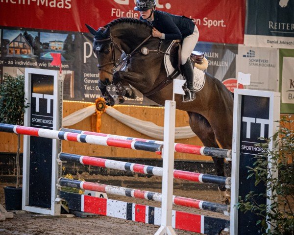 jumper Emanuela RB (Holsteiner, 2019, from Emerald van 't Ruytershof)