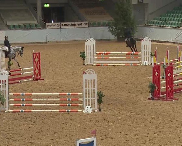 Reitturnier Kreuth 2025