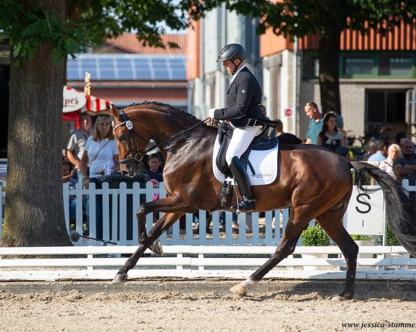 dressage horse Floricella (Oldenburg, 2015, from Fürstenball)