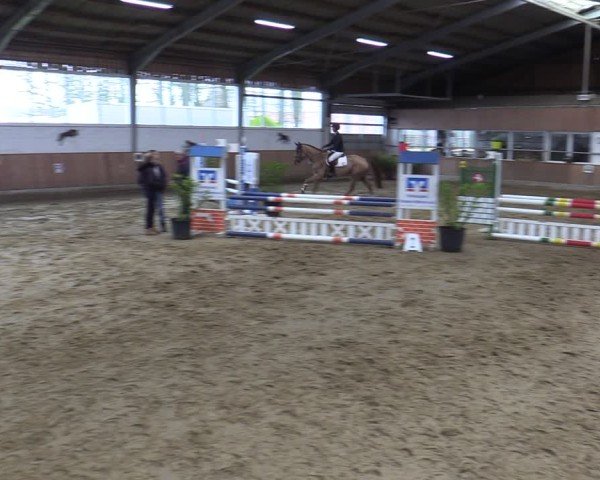 Reitturnier Werne 2025