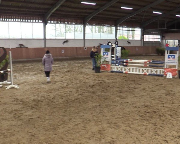Reitturnier Werne 2025