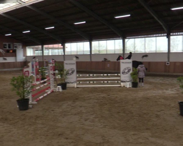 Reitturnier Werne 2025