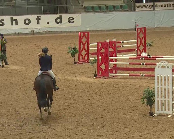 Reitturnier Kreuth 2025