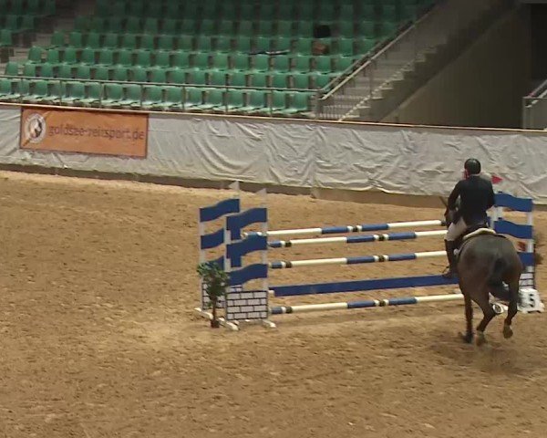 Reitturnier Kreuth 2025