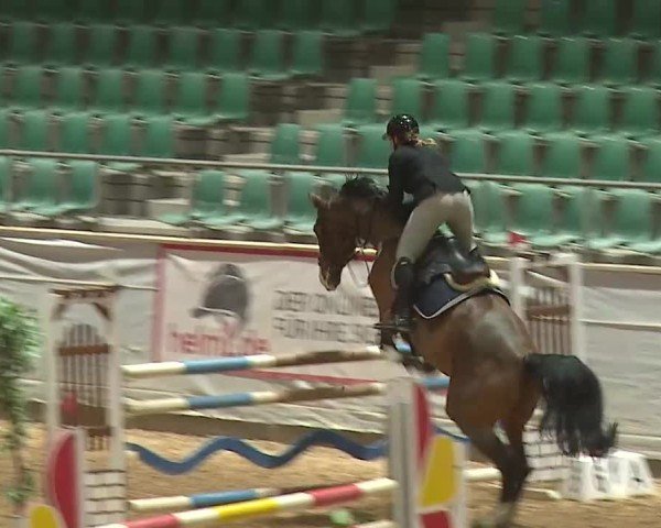 Reitturnier Kreuth 2025