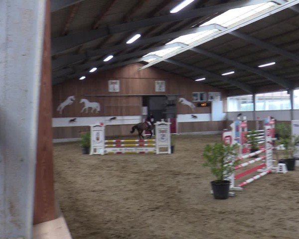 Reitturnier Werne 2025