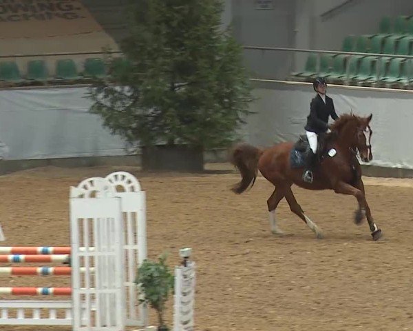 Reitturnier Kreuth 2025