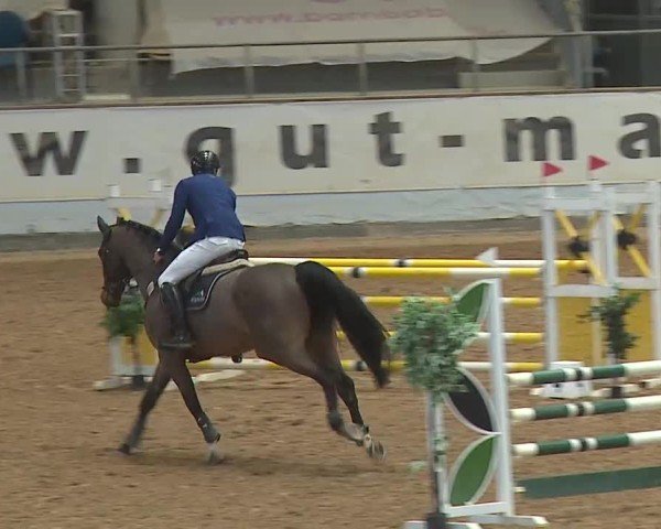 Reitturnier Kreuth 2025