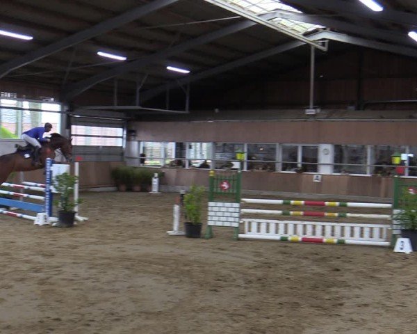 Reitturnier Werne 2025