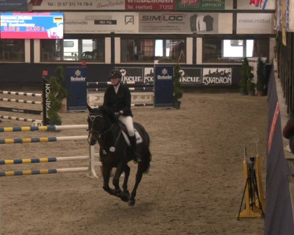 Reitturnier Exter 2025