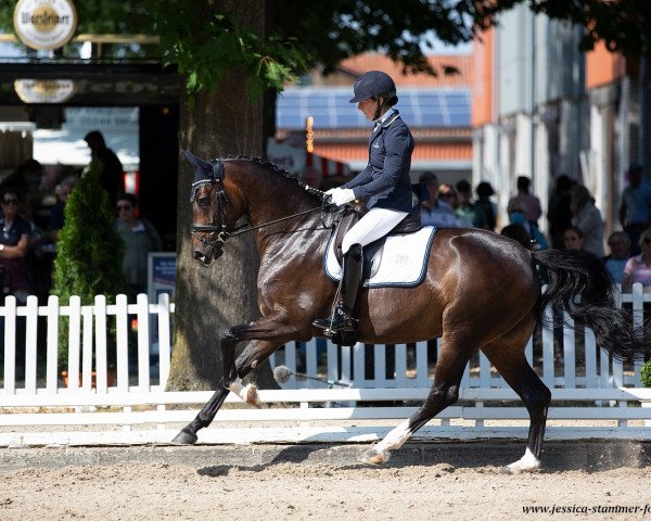 broodmare Fleur de Vie (Hanoverian, 2015, from Fidertanz)