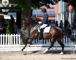 broodmare Fleur de Vie (Hanoverian, 2015, from Fidertanz)