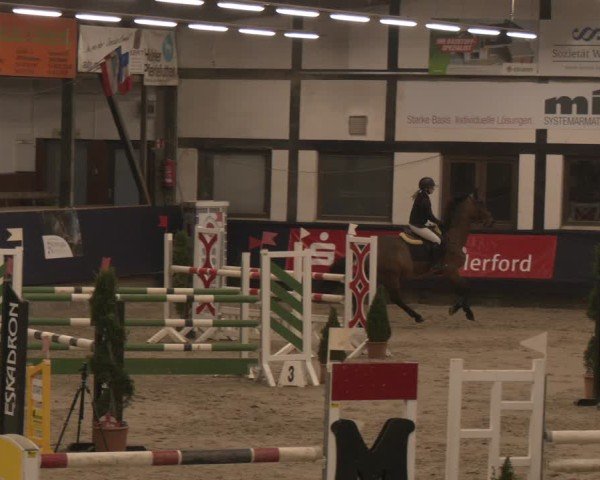 Reitturnier Exter 2025