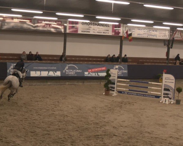 Reitturnier Exter 2025