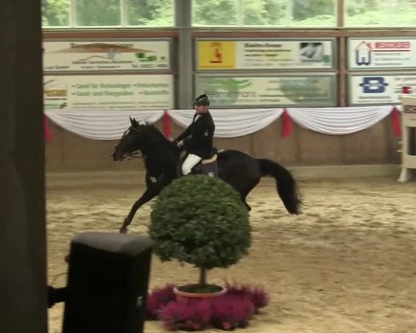 YOUNGSTER-EVENT GOCH 2013