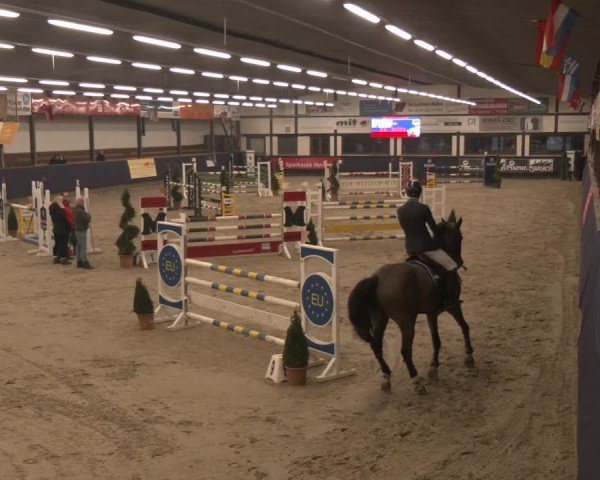 Reitturnier Exter 2025