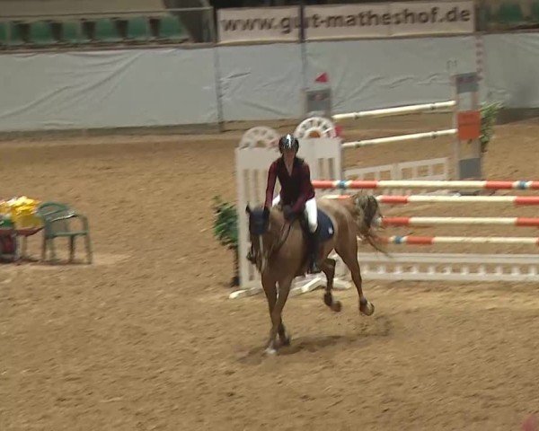 Reitturnier Kreuth 2025