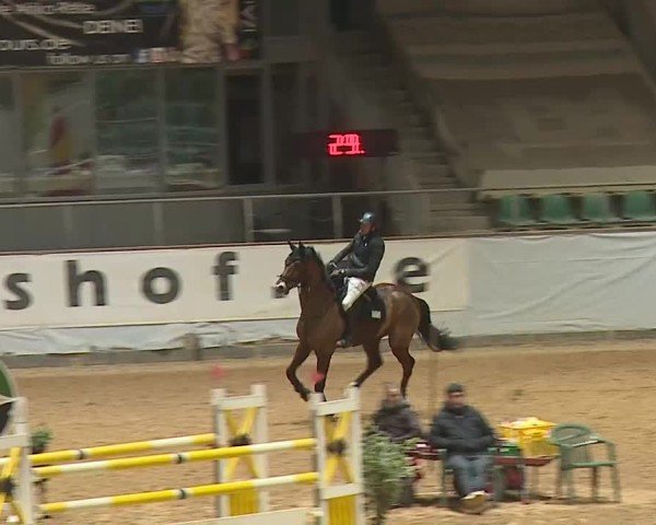 Reitturnier Kreuth 2025