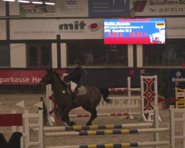Reitturnier Exter 2025