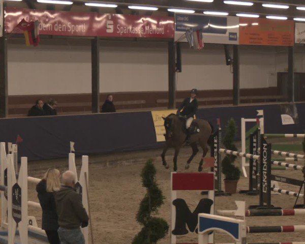 Reitturnier Exter 2025
