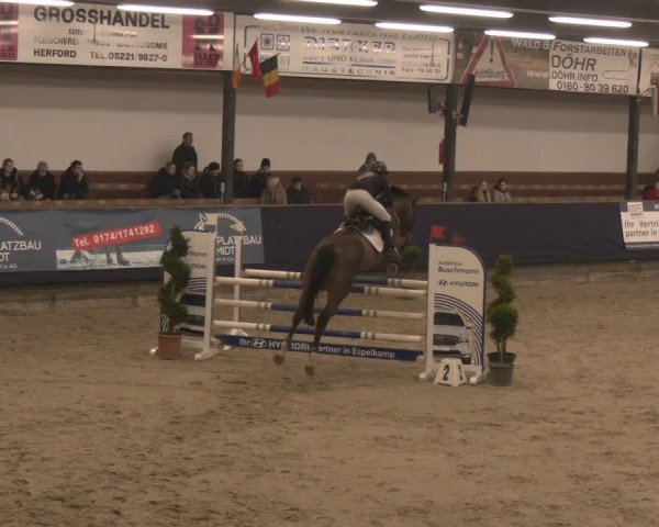 Reitturnier Exter 2025