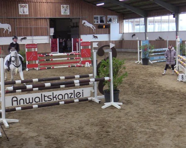 Reitturnier Werne 2025
