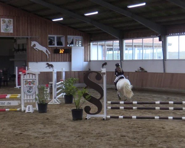 Reitturnier Werne 2025