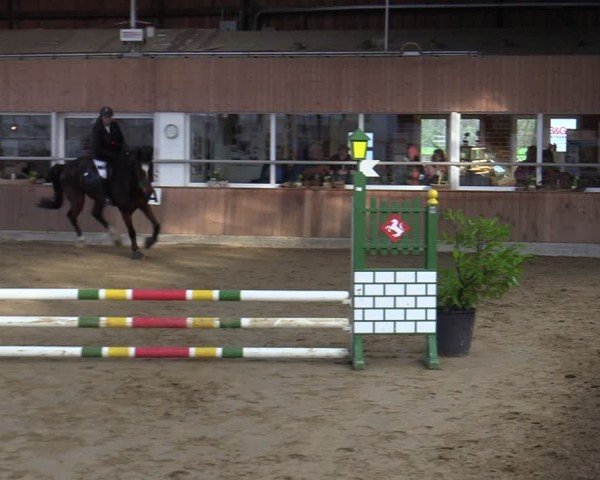 Reitturnier Werne 2025