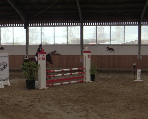 Reitturnier Werne 2025